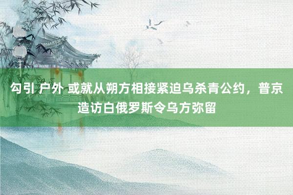 勾引 户外 或就从朔方相接紧迫乌杀青公约，普京造访白俄罗斯令乌方弥留