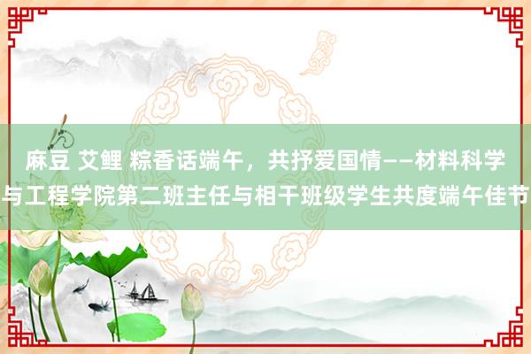 麻豆 艾鲤 粽香话端午，共抒爱国情——材料科学与工程学院第二班主任与相干班级学生共度端午佳节