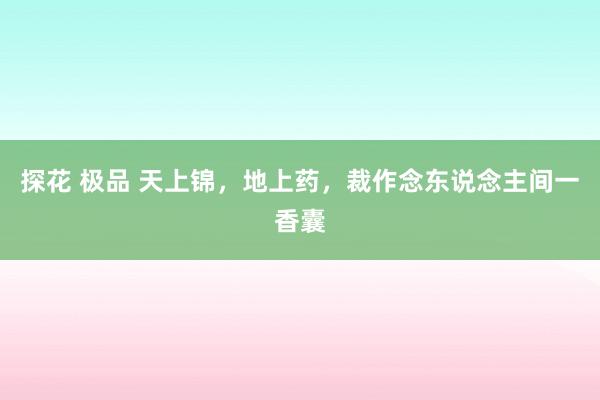 探花 极品 天上锦，地上药，裁作念东说念主间一香囊